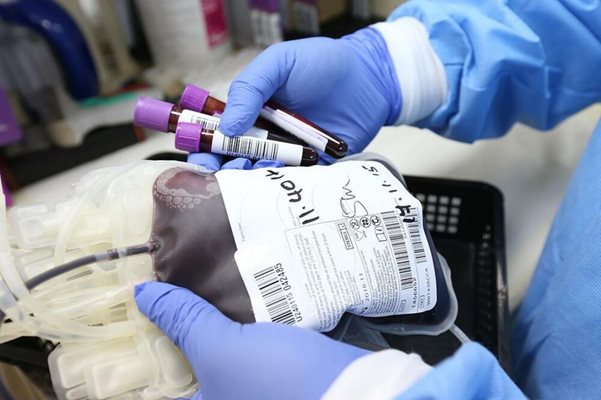 Продължава незаконната търговия с кръв в болниците