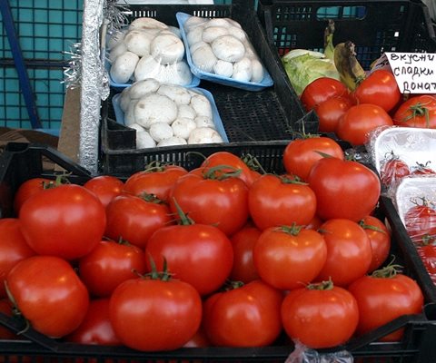 Тази година доматите не са с добро качество и в големи количества заради жегата и сушата.