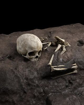 Костите са открити в Кения през 2013 г., но са били толкова деликатни, че са били необходими години, за да бъдат разкопани.