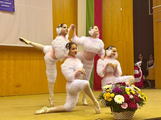 В програмата взеха участие над десет танцови и музикални състава от Русе и региона Снимка: Пресцентър на Община Русе