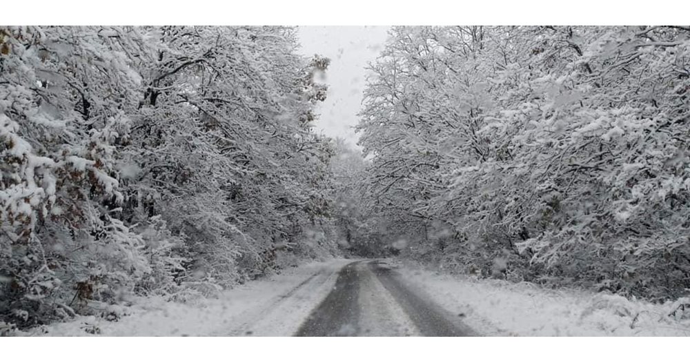 Severe Weather Alert: Highway Entrance Closed and Mountain Passes Expected to Close Due to Intense Rainfall and Snowfall