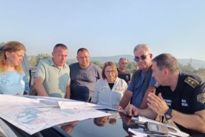 Областната управителка на Пловдив: С общи усилия пожарът в Средна гора е овладян