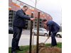Кметски отбор засади индийски люляк пред спортната зала в Пловдив