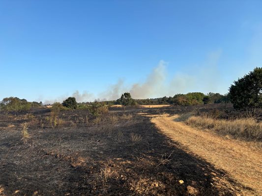 Пожарът край с. Воден е обхванал над 70 хил. декара .
Снимка:Архив