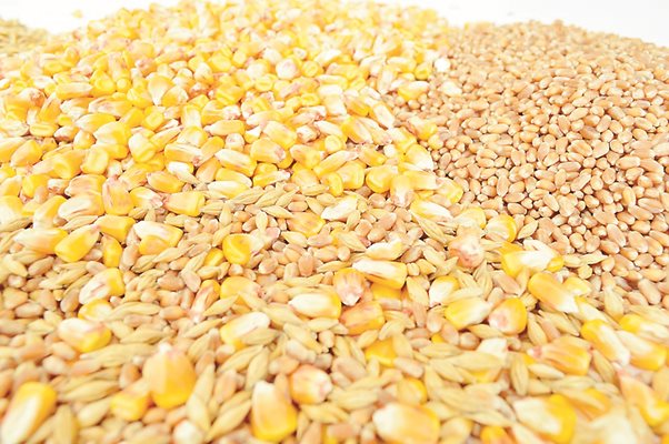 Украйна е един от големите износители на зърно. 