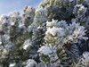 Обилен снеговалеж и силни ветрове в страната