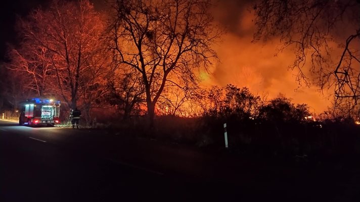 Голям пожар гори край Пловдив. Огнеборци: Няма загасяне (Снимки, видео)