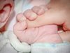 Намериха новородено бебе в храстите между блокове в София