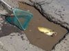 Хванаха риба в дупка на пътя Кубрат - Русе