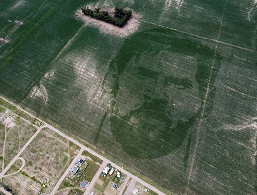Образът на Лео Меси в царевична нива. СНИМКИ: Ройтерс