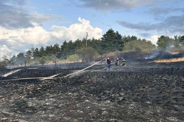 Стихията е унищожила 250 дка борова гора и 150 дка земеделска земя.