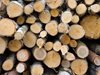 Масова бракониерска сеч в Търновско,
за ден пипнаха шестима с незаконни дърва