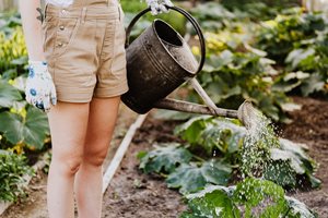 11 важни неща за градината през април