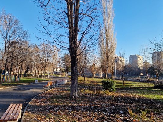 Записите може да се връщат до 3 седмици назад.