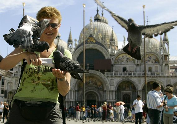 Храненето на гълъбите във Венеция може да ви струва глоба до 500 евро.