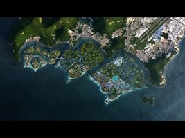 Градски "лилии" никнат като острови (ВИДЕО)