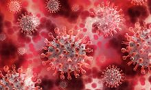 Германия регистрира 140 160 нови случая на заразяване с коронавирус