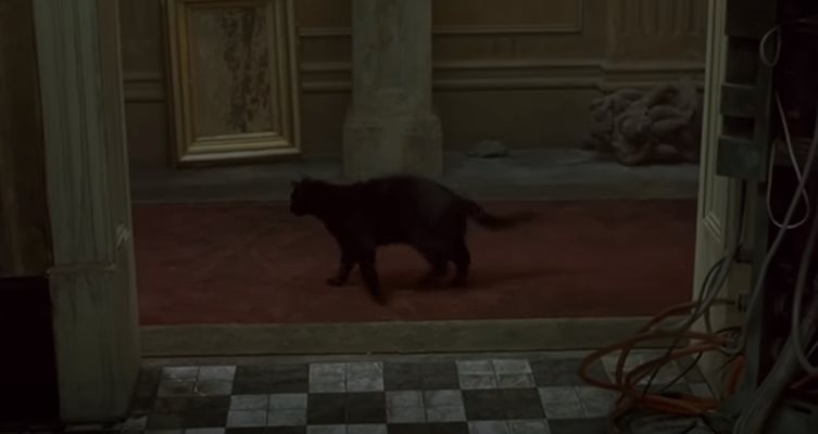 Кадър на черната котка от филма “Матрицата”, която повтаря едно и също движение.