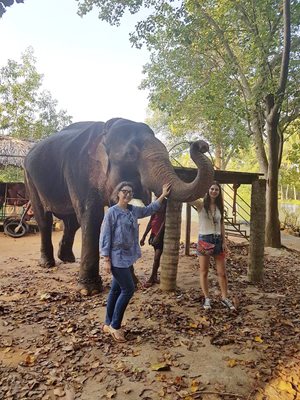 Слонът, моят приятел - с Елизабет на път
