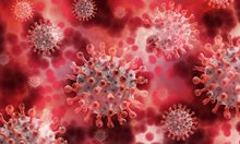 81 нови случая на коронавирус за последното денонощие
