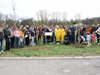 Доброволци засадиха 90 дръвчета в 2 столични парка