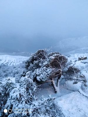 Снежна буря на о. Тинос. Снимка: Манолис Сохос