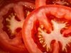 Специалисти се опитват да върнат добрия вкус на промишлените домати