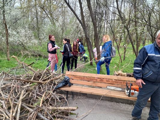 Купчините изсъхнали дървата нараснаха бързо.