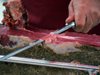 Откриха 30 т месо и салами с нов срок на годност в склад в София

