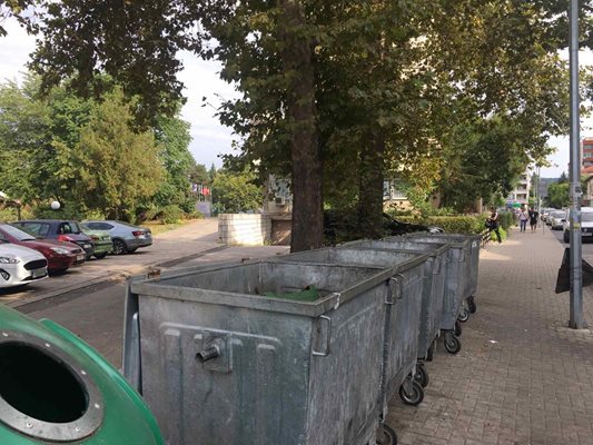 От сряда започна извозването на натрупаните отпадъци. Първо бяха почистени контейнерите на сградата, в която се помещават общината и областната управа.