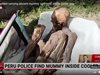 Откриха мумия в хладилната чанта на куриер в Перу (Видео, снимкa)