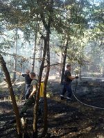 Пет пожара в Пловдивско, 30 военни и хеликоптер гасят край Розино (Снимки)