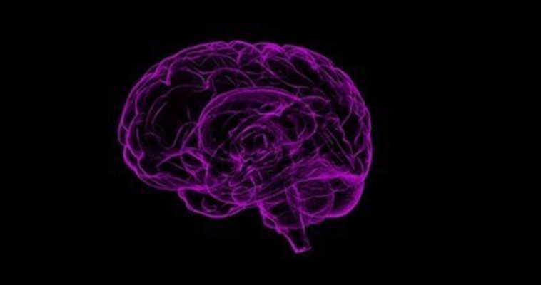 Мозъкът действа дълго след спирането на сърцето
СНИМКА: Pixabay