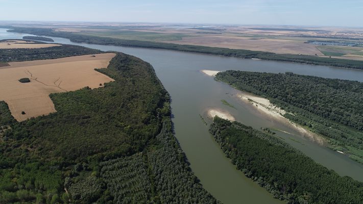 Обявена е нова защитена местност „Есетрите - Ветрен” в участък от река Дунав
Снимка: МОСВ