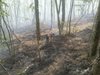 Кметът на Малко Търново: Над 100 доброволци гасят гората, подпалена от бежанци (Снимки)