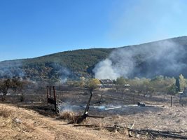 Пожар изпепели три вили, пчелин и 200 дка край Пазарджик Снимка: Община Лесичово