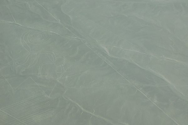 Част от рисунките (“Спиралата” и “Маймуната”), които успяхме да видим, прелитайки над платото Наска, от малкото самолетче.