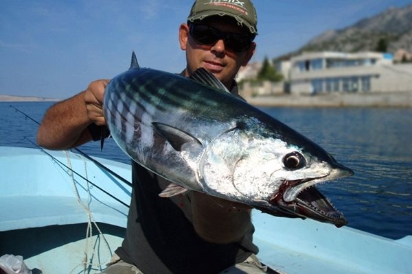 УРОЖАЙ! Циганката дойде по морето