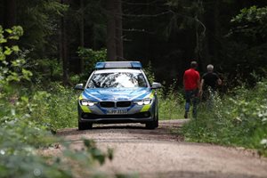 Бракониери нападнаха с моторна резачка горски служители