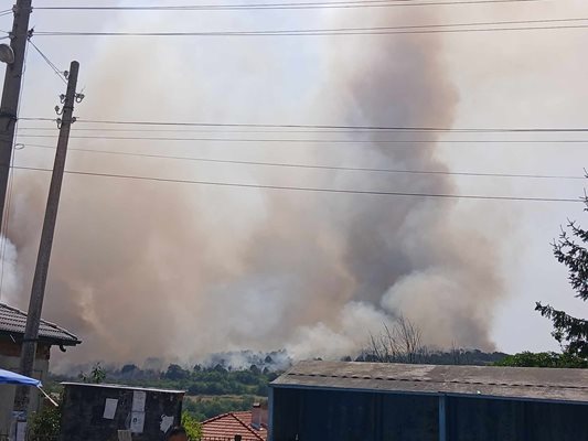 Пожарът е обхванал земеделски земи и гора