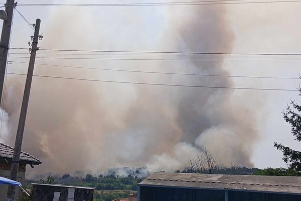 Пожарът е обхванал земеделски земи и гора