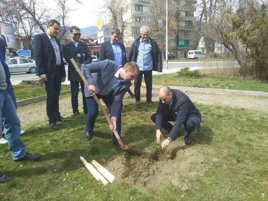 Зам.-председателят взе участие и в инициативата на МГЕРБ-Велинград, които посадиха 11 борчета в парка Снимки ГЕРБ