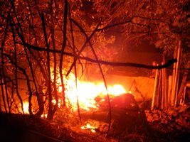 Бушуващ в България горски пожар заплашва Одрин