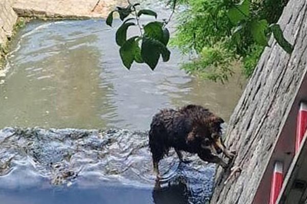 Снимки: Пресцентър на Община Варна