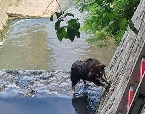 Снимки: Пресцентър на Община Варна