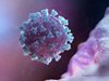 Човешките ембриони са уязвими на коронавируса в ранните стадии на развитие