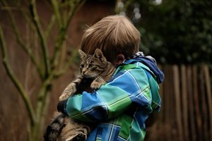Децата с аутизъм харесват котки заради техния “по-малко натрапчив поглед"