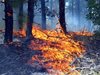 Горският пожар край Ардино изпепели над 1000 декара гора