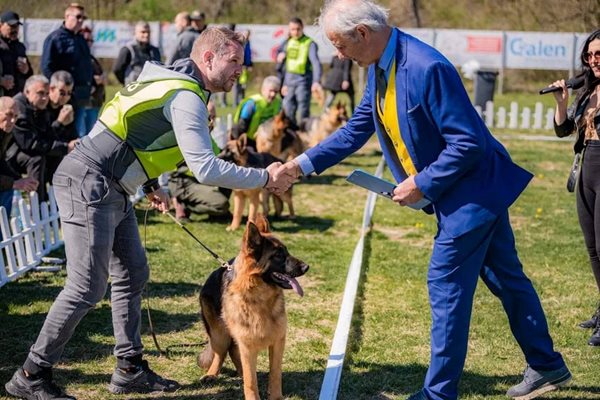 Димитровград ще бъде домакин на Национална Киноложка изложба за породисти кучета