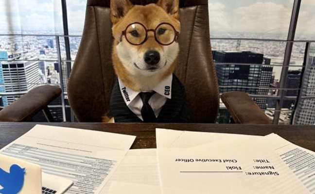 Мъск назначи куче за шеф на "Туитър"